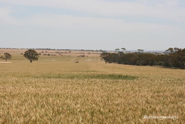 . Cnr Nembudding South Road & Hammond Road Korrelocking WA 6485 - Image 1