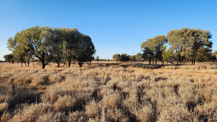 MIDDLE ROAD Mitchell QLD 4465 - Image 1