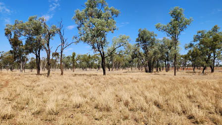 MIDDLE ROAD Mitchell QLD 4465 - Image 2