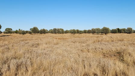 3930 MIDDLE ROAD Mitchell QLD 4465 - Image 1