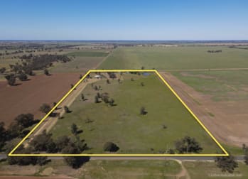 245 Alleena Road Barmedman NSW 2668 - Image 2