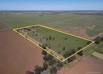 245 Alleena Road Barmedman NSW 2668 - Image 3