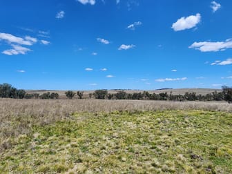 Lot 11 Pikedale Lane Stanthorpe QLD 4380 - Image 2