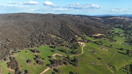 468 Vokins Creek Road Little Billabong NSW 2644 - Image 3