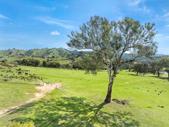 Click to view all images 62 Hells Hole Creek Road Bonnie Doon VIC 3720 - Image 3