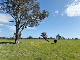 Lot 25 Walla-Walla Road Naracoorte SA 5271 - Image 2