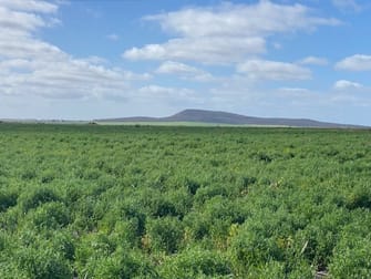 Click to view all images 1830 Chilmans Road Butler SA 5605 - Image 1