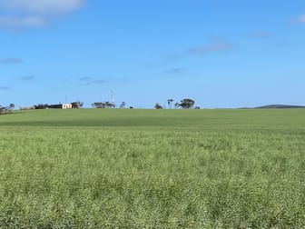 Click to view all images 1830 Chilmans Road Butler SA 5605 - Image 2