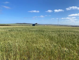 Click to view all images 1830 Chilmans Road Butler SA 5605 - Image 3