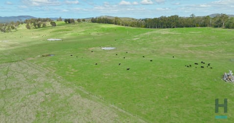 320 Buchan South Buchan South Buchan South VIC 3885 - Image 2