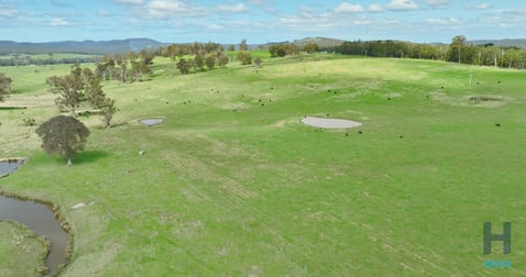 320 Buchan South Buchan South Buchan South VIC 3885 - Image 3