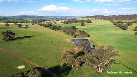 466 Crest Hill Road Mooliabeenee WA 6504 - Image 3