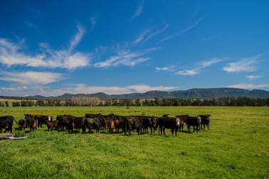 931 Martindale Road Denman NSW 2328 - Image 1