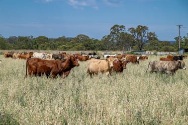 91 Beare Road Maidenwell QLD 4615 - Image 2