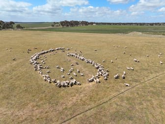 Foxhow-Cressy Road Duverney VIC 3323 - Image 2