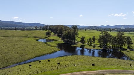 Lot 47 Fosterton Road Dungog NSW 2420 - Image 1
