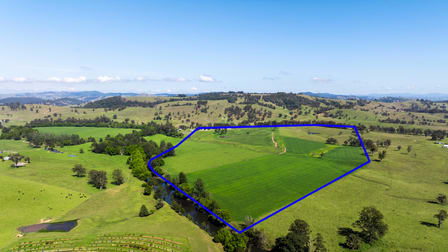 330 Fosterton Road Dungog NSW 2420 - Image 3