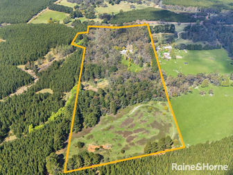 141 Sunny Corner Road Kirkconnell NSW 2795 - Image 2
