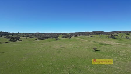 656 Uungula Road Wuuluman NSW 2820 - Image 1