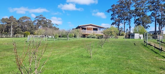 150 Hjorts Road Loira TAS 7275 - Image 1