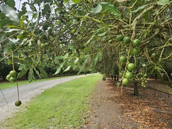 32 Beerburrum Donnybrook Road Donnybrook QLD 4510 - Image 3