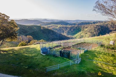 Lot 1/2553 Campfire Road Walcha NSW 2354 - Image 2