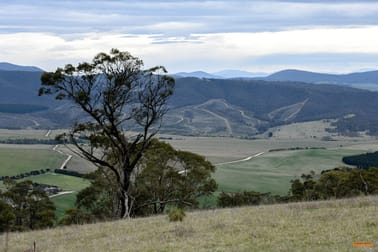 "Lark Ridge" Corrowong Road Corrowong NSW 2633 - Image 3