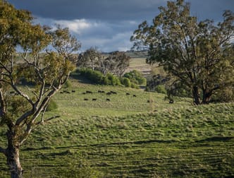 69 Roseberry Road Taralga NSW 2580 - Image 3
