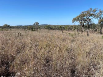 Peakvale Road Clermont QLD 4721 - Image 1