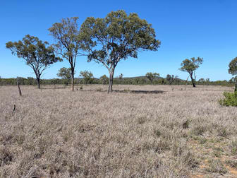 Peakvale Road Clermont QLD 4721 - Image 3
