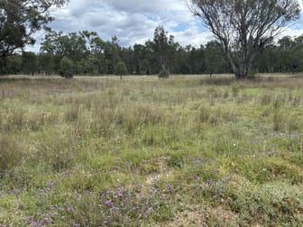 93 Fairford Road Warialda NSW 2402 - Image 2