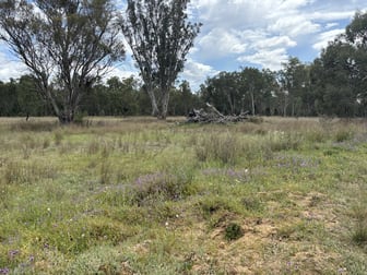 93 Fairford Road Warialda NSW 2402 - Image 3