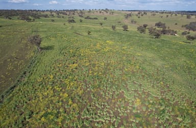 Merriwa NSW 2329 - Image 2