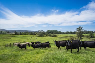 673 Summer Hill Road Vacy NSW 2421 - Image 1