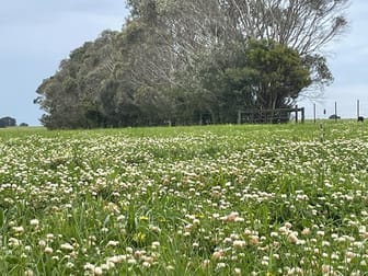1050 Spencer Road Tarrone VIC 3283 - Image 1