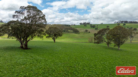 1444 Greenhills Road Guyra NSW 2365 - Image 2