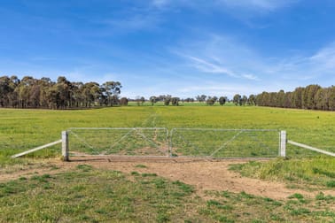 Lot 1 Goornong - Mayreef Road Goornong VIC 3557 - Image 2