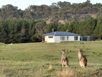 Lot 155/206 Berrebangelo Lane Bellmount Forest NSW 2581 - Image 1
