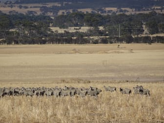 Lot 12520 Great Southern Highway Woodanilling WA 6316 - Image 1