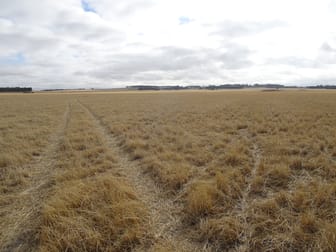 Lot 12520 Great Southern Highway Woodanilling WA 6316 - Image 3