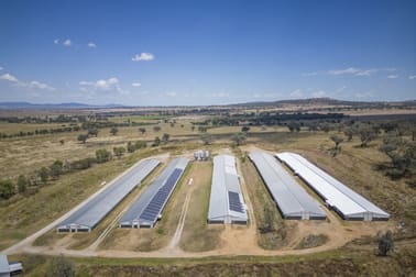 2797 Manilla Road Attunga NSW 2345 - Image 3