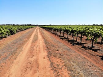 2756 Tapalin Mail Road Euston NSW 2737 - Image 1