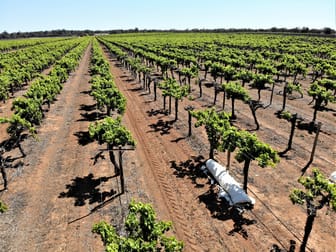 2756 Tapalin Mail Road Euston NSW 2737 - Image 2