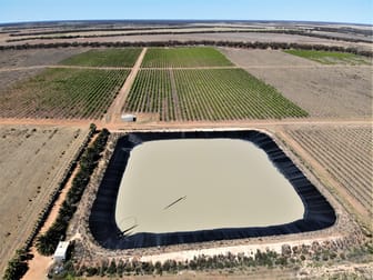 2756 Tapalin Mail Road Euston NSW 2737 - Image 3