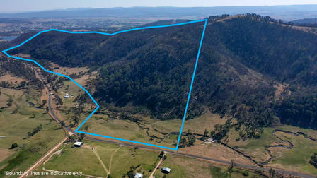 353 Scrub Road Tenterfield NSW 2372 - Image 1