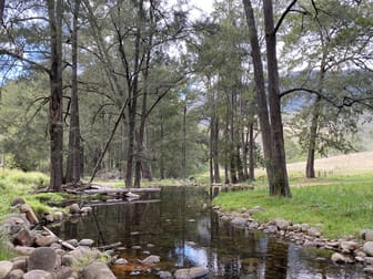 Lot 83 1118 Neringla Road Araluen NSW 2622 - Image 2