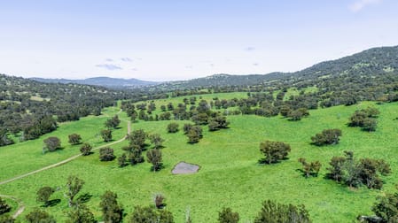 'Kruivale' Alyndale Road Merriwa NSW 2329 - Image 3