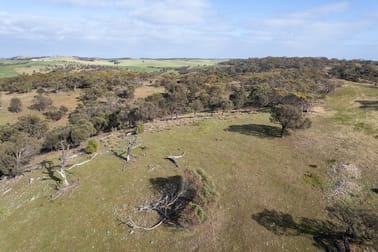 Lots 99 & Bawdens Road Lipson SA 5607 - Image 1