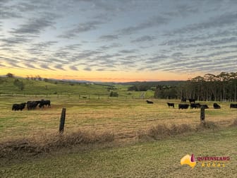 Yungaburra QLD 4884 - Image 1