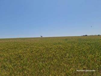 Corner Eaton & Rossmore Road Goomalling WA 6460 - Image 2